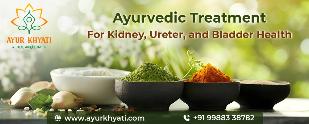 Ayurvedic Treatment for Kidney, Ureter, and Bladder Health