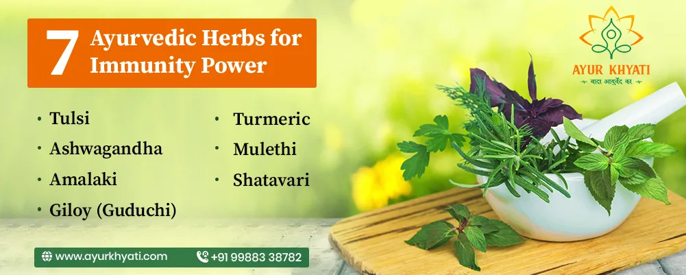 immune system ayurveda